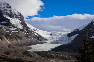Majestic Columbia Icefield ve Athabasca Buzulları buzul tarlaları boyunca antik buzlar, engebeli zirveler ve el değmemiş vahşi doğa sergileniyor..