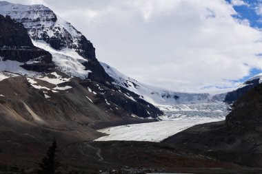 Majestic Columbia Icefield ve Athabasca Buzulları buzul tarlaları boyunca antik buzlar, engebeli zirveler ve el değmemiş vahşi doğa sergileniyor..