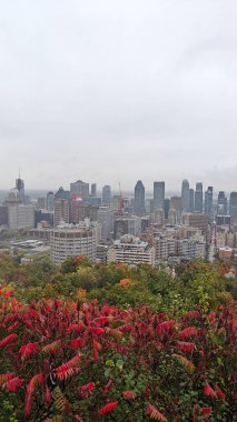 Montreal şehrine bakan renkli ağaçlarla sonbaharda Royal Dağı.