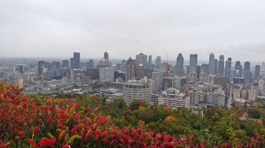Montreal şehrine bakan renkli ağaçlarla sonbaharda Royal Dağı.