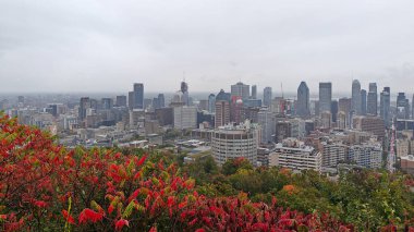 Montreal şehrine bakan renkli ağaçlarla sonbaharda Royal Dağı.
