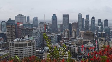 Montreal şehrine bakan renkli ağaçlarla sonbaharda Royal Dağı.