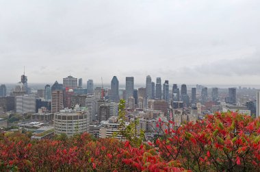 Montreal şehrine bakan renkli ağaçlarla sonbaharda Royal Dağı.
