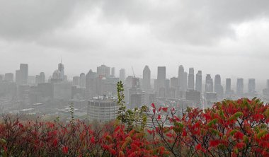 Montreal şehrine bakan renkli ağaçlarla sonbaharda Royal Dağı.
