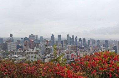 Montreal şehrine bakan renkli ağaçlarla sonbaharda Royal Dağı.