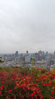 Montreal şehrine bakan renkli ağaçlarla sonbaharda Royal Dağı.