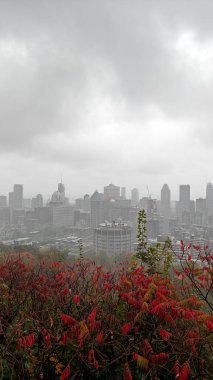 Montreal şehrine bakan renkli ağaçlarla sonbaharda Royal Dağı.
