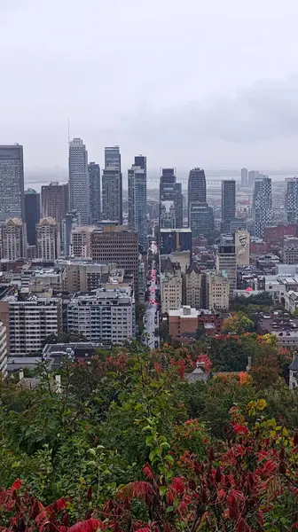 Montreal şehrine bakan renkli ağaçlarla sonbaharda Royal Dağı.