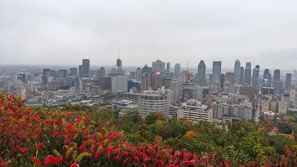 Montreal şehrine bakan renkli ağaçlarla sonbaharda Royal Dağı.