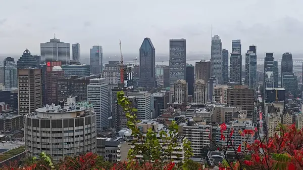 Montreal şehrine bakan renkli ağaçlarla sonbaharda Royal Dağı.