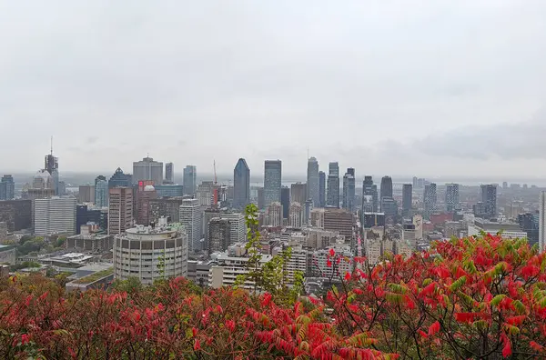 Montreal şehrine bakan renkli ağaçlarla sonbaharda Royal Dağı.