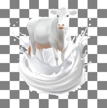 İnek sütü, illüstrasyon tasarımı. Mandıra posteri. Süt ürünleri reklamları düzgün 3d vektör şablonu, ağ gradyanı kullanıldı