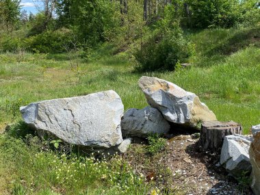 Doğanın güzel manzarası