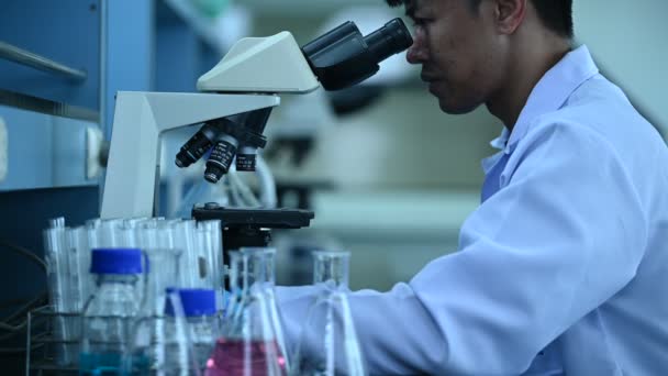 研究室で働くアジアの科学者 男性医師は サンプルから実験を見つけるために顕微鏡を使用 タイ人 研究室での研究者の仕事 — ストック動画