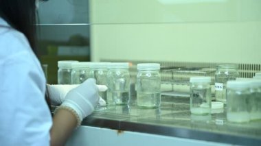 Bilim adamı deneyden önce sallama makinesiyle kimyasalları karıştırdı. Test tüplerine numunelerle karıştırılmış Tayland bilim adamı laboratuarda çalışıyor.