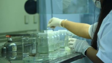 Bilim adamı deneyden önce sallama makinesiyle kimyasalları karıştırdı. Test tüplerine numunelerle karıştırılmış Tayland bilim adamı laboratuarda çalışıyor.