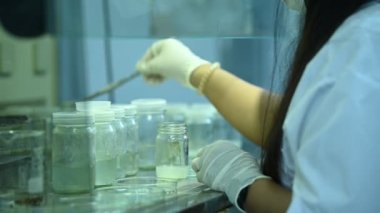 Bilim adamı deneyden önce sallama makinesiyle kimyasalları karıştırdı. Test tüplerine numunelerle karıştırılmış Tayland bilim adamı laboratuarda çalışıyor.