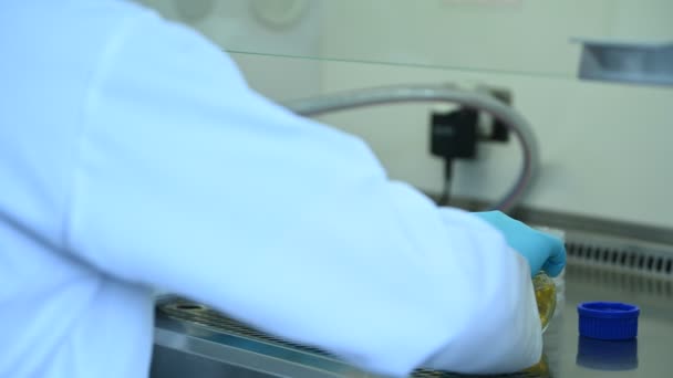 Науковець Змішує Хімічні Речовини Машиною Трубкою Перед Експериментом Мішанина Язана — стокове відео