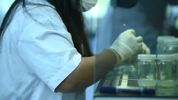 과학자들은 실험을 물질을 셰이크 기계와 섞는다 테스트 튜브에 샘플을 혼합물 — 비디오