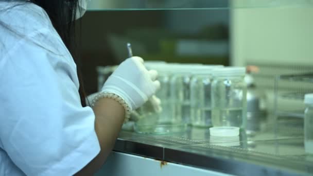 科学者は化学物質を振動装置と混合実験の前に 実験室で働くタイの科学者 試験管にサンプルを入れた混合物 — ストック動画