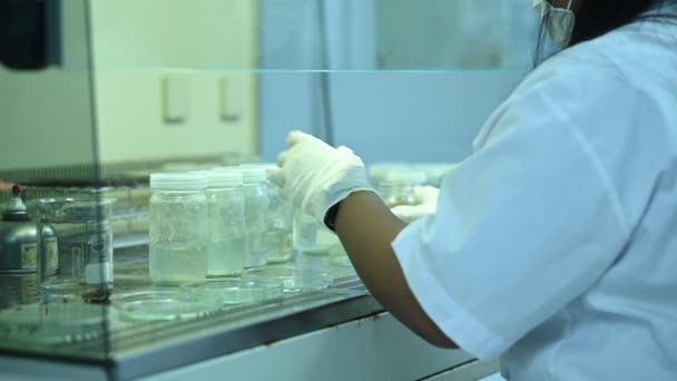 Vědci Míchají Chemikálie Strojem Otřesy Před Experimentem Směs Šněrovaná Vzorky — Stock video