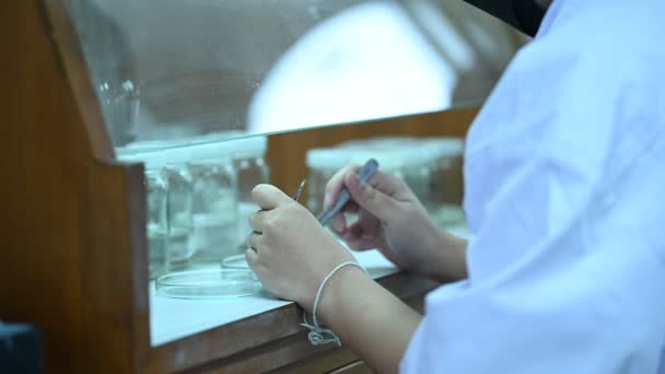 科学者は化学物質を振動装置と混合実験の前に 実験室で働くタイの科学者 試験管にサンプルを入れた混合物 — ストック動画