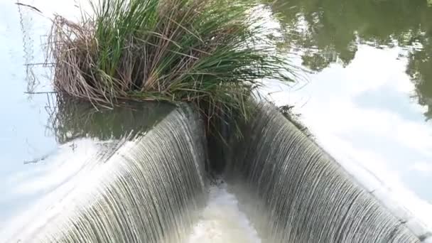 ダムが農村部に溢れ 雨季にはダムに水が溢れる嵐が発生しました — ストック動画