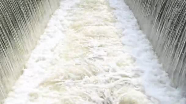 ダムが農村部に溢れ 雨季にはダムに水が溢れる嵐が発生しました — ストック動画