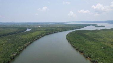 İnsansız hava aracından mangrov ormanının kuş bakışı görüntüsü..