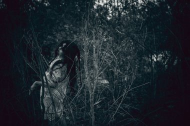 Bataklıktaki Asyalı kadın portresi, su sahnesindeki korku, nehirdeki korku, Tayland 'daki Cadılar Bayramı posteri.