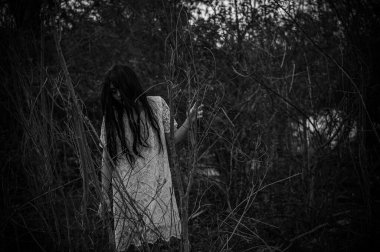 Bataklıktaki Asyalı kadın portresi, su sahnesindeki korku, nehirdeki korku, Tayland 'daki Cadılar Bayramı posteri.