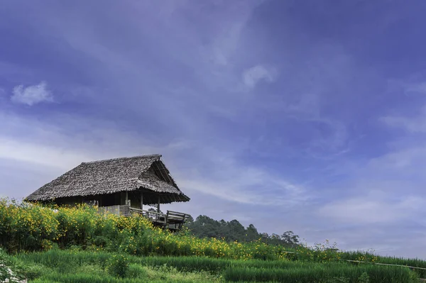 Bongpieng Terraza Arroz Montaña Chiengmai Las Terrazas Arroz Más Bellas — Foto de Stock