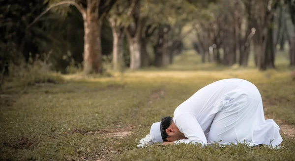 Молодой Азиат Мусульманин Молится Закате Концепция Фестиваля Рамадан — стоковое фото