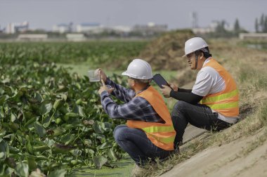 Çevre mühendisleri su kalitesini inceler, suyu test etmek için laboratuvara getirir, su ve topraktaki mineral içeriğini kontrol eder, kimyasal kirlenmiş su kaynaklarının sorununu çözmek için danışmanlık yapar.