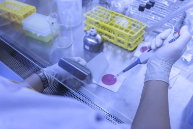 Laboratuvarda çalışan Asyalı bilim adamı, ürün deneyi yaparken, araştırmacılar deneyin sonuçlarını bulmak için analiz ettiler..