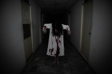 Asyalı kadın makyajı hayaleti, arka plan korku sahnesi, Cadılar Bayramı festivali konsepti, hayalet filmleri afişi, dairede kızgın ruh.