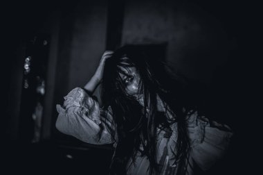 Genç Bir Kızın İntikamcı Ruhu Terk Edilmiş Bir Ev 'e, Ürkütücü bir korku ve doğaüstü terör sahnesine ve Cadılar Bayramı festivali konseptine dadanıyor.