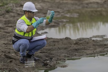 Çevre mühendisleri su kalitesini inceler, suyu test etmek için laboratuvara getirir, su ve topraktaki mineral içeriğini kontrol eder, su kaynaklarındaki kirleticileri kontrol ederler..