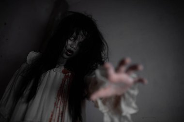 Genç Bir Kızın İntikamcı Ruhu Terk Edilmiş Bir Ev 'e, Ürkütücü bir korku ve doğaüstü terör sahnesine ve Cadılar Bayramı festivali konseptine dadanıyor.