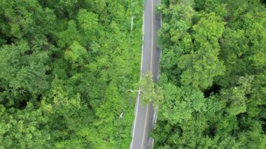 Ormandaki bir dağ yolunun havadan görünüşü