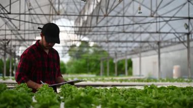 Çiftçi serada çalışıyor ve notlar alırken bitkileri kontrol ediyor.