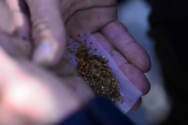 Mariguana veya marihuana, ayrıca esrar olarak da bilinir. Erkek elleri esrar sarar ya da tütün sarar.