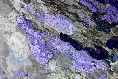 Kırmızı taş arka planda küçük zambaklar.