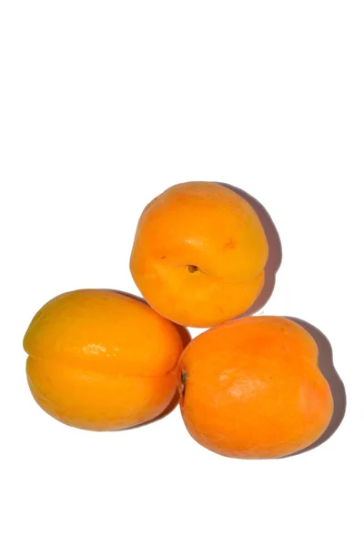Prunus Armeniaca Ook Wel Abrikoos Abrikoos Amasco Albergero Abrikoos Genoemd — Stockfoto