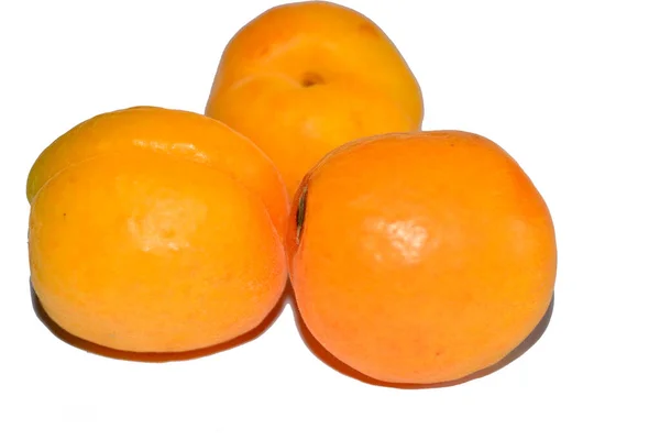 Prunus Armeniaca Gemeinhin Als Aprikose Aprikose Amasco Albergero Oder Aprikose — Stockfoto