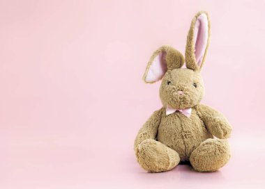 Pembe boş alanda oturan tüylü tavşan oyuncağı. Nesne..