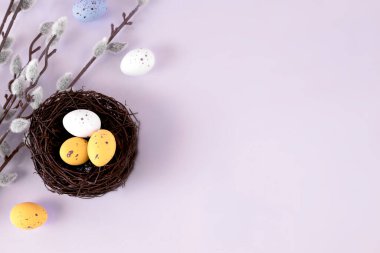 Paskalya yumurtaları menekşe boş arkaplan görünümünde, tatil kartı hiç kimse, posterler. Renkler kartpostalları selamlıyor.