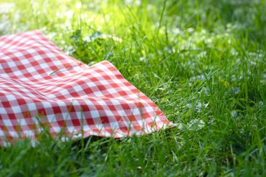Sarı kareli kumaş, yeşil çimenlerin üstündeki havluyu kontrol et. Yemek reklamı boş. Piknik havlusu boş. Ekose masa örtüsü..