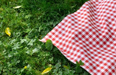 Çimlerin üzerinde kırmızı piknik örtüsü. Arka planda boş yemek reklamı. Açık havada kareli masa örtüsü..