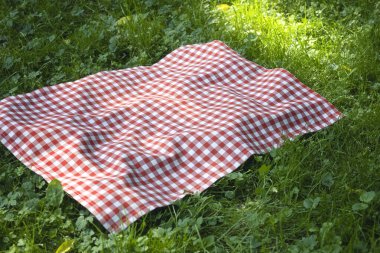 Kırmızı piknik havlusu ekose yeşil çimlerde, yemek reklamı boş. Masaüstü. Kır kıyafetleri. Dışarıda masa örtüsü..